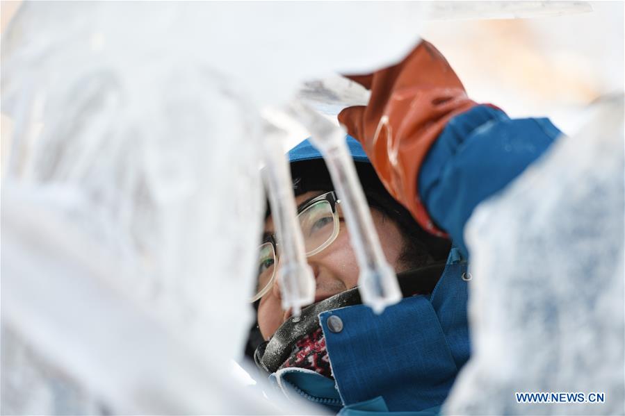 CHINA-HARBIN-ICE SCULPTURE-COMPETITION (CN) 