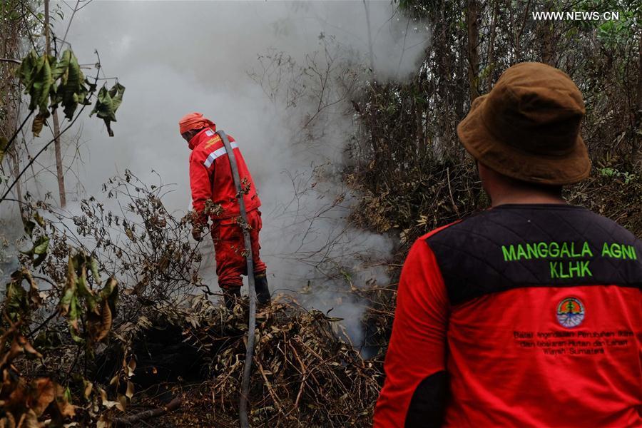 INDONESIA-RIAU-PEAT LAND FIRE