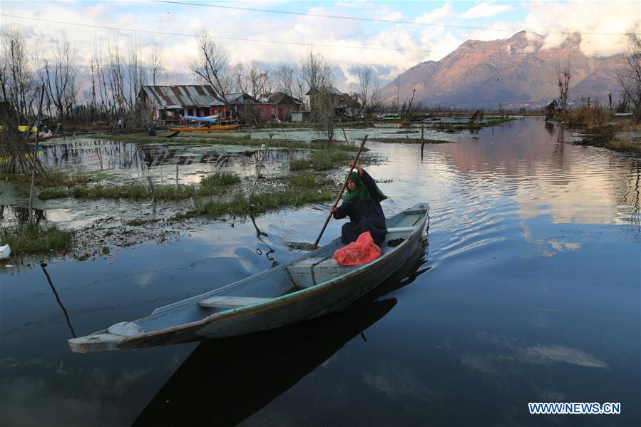 INDIAN-CONTROLLED KASHMIR-SRINAGAR-DAL LAKE-DAILY LIFE