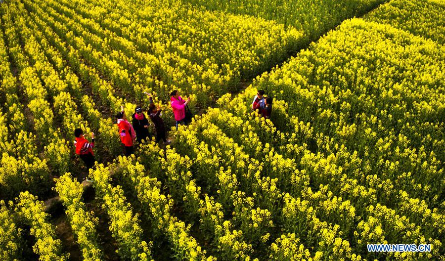 CHINA-SPRING SCENERY (CN)