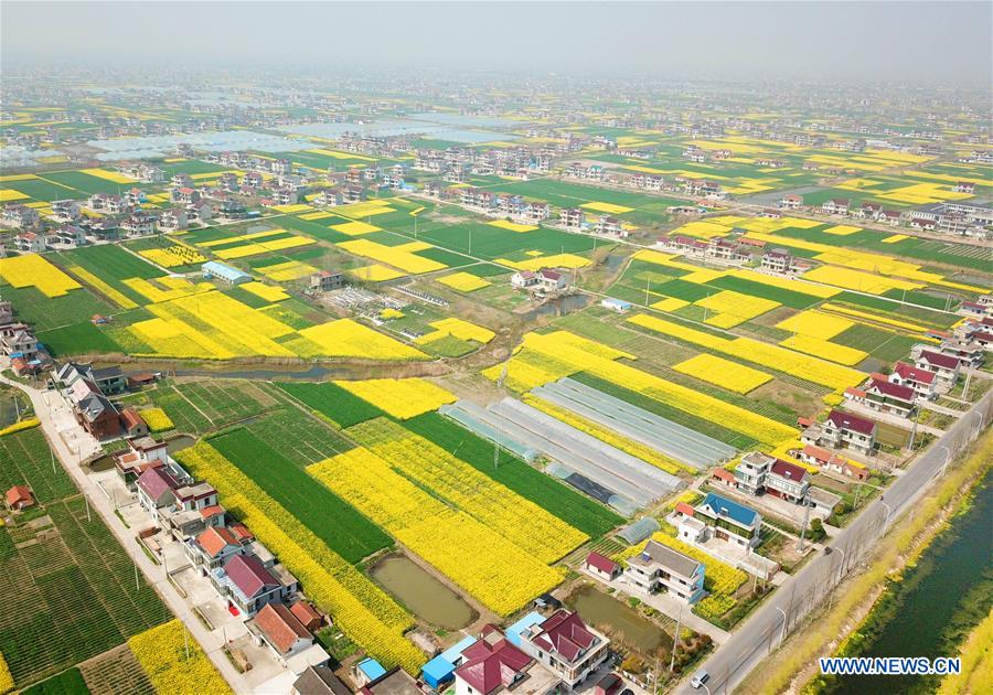 #CHINA-JIANGSU-RURAL SCENERY (CN)