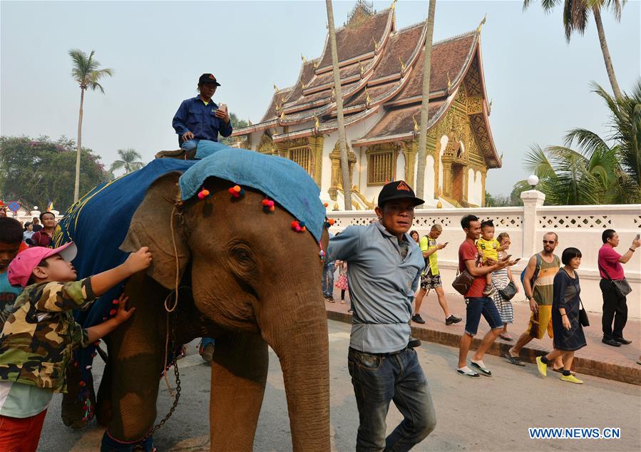 LAOS-LUANG PRABANG-ELEPHANT-NEW YEAR PARADE