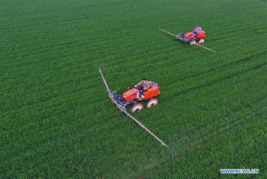 CHINA-HEBEI-SHIJIAZHUANG-FARM WORK (CN)