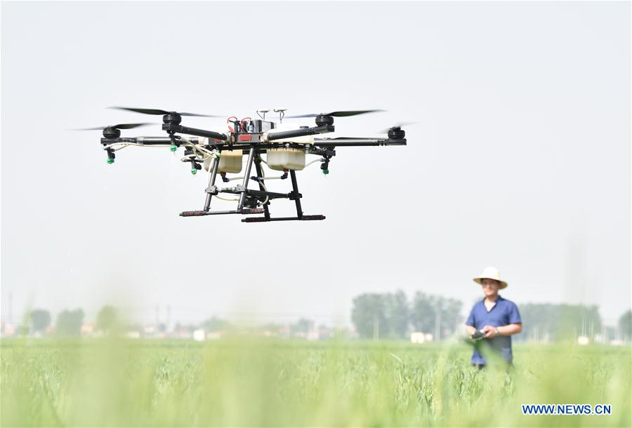 CHINA-HEBEI-WHEAT GROWTH (CN)