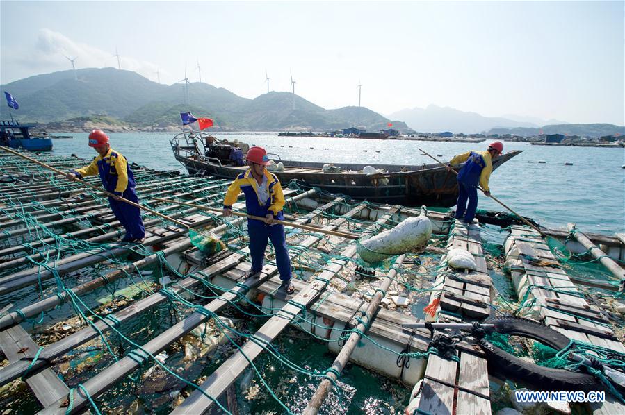 CHINA-WORLD OCEANS DAY(CN)