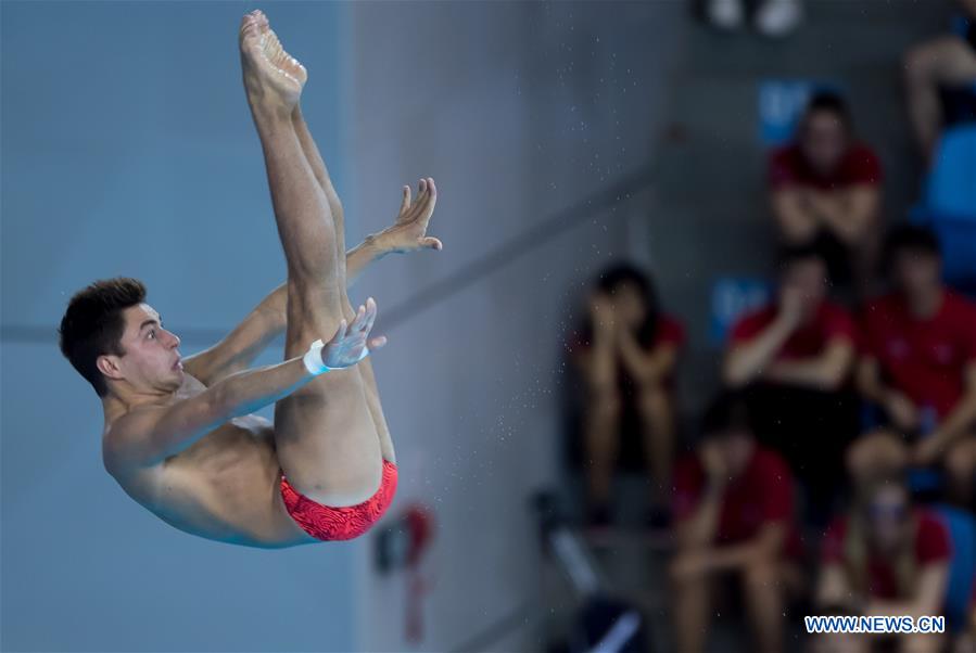 (SP)CHINA-WUHAN-DIVING-FINA-WORLD CUP (CN)