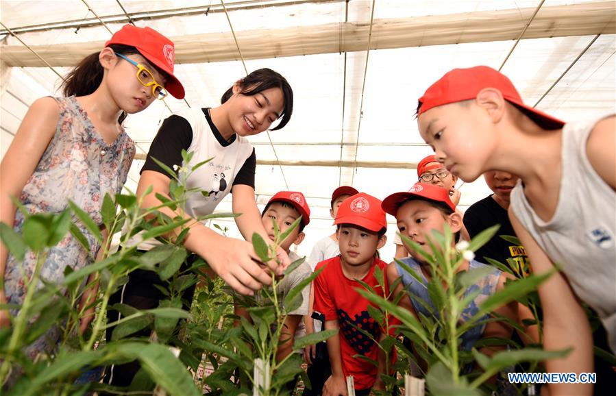 CHINA-HEBEI-HENGSHUI-CHILDREN-MODERN AGRICULTURAL GARDEN (CN)