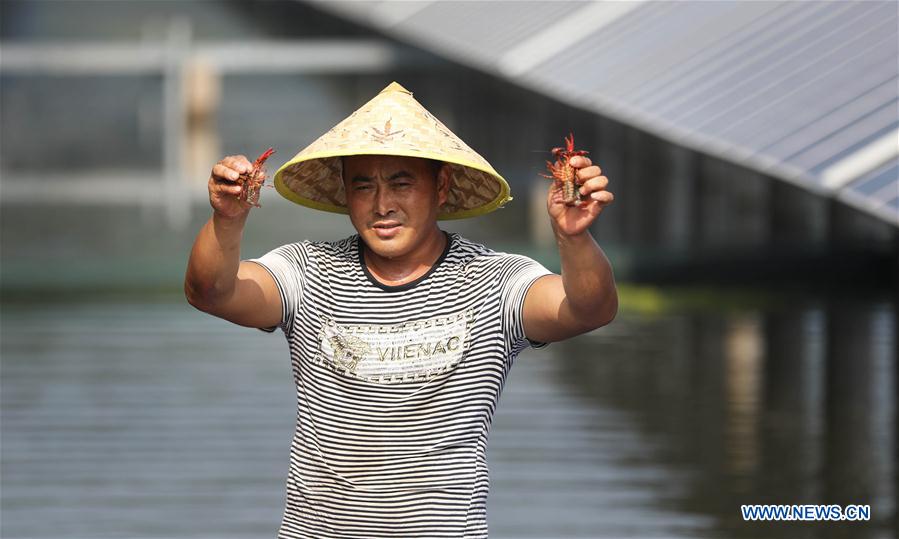 CHINA-JIANGSU-PV POWER PLANT (CN)