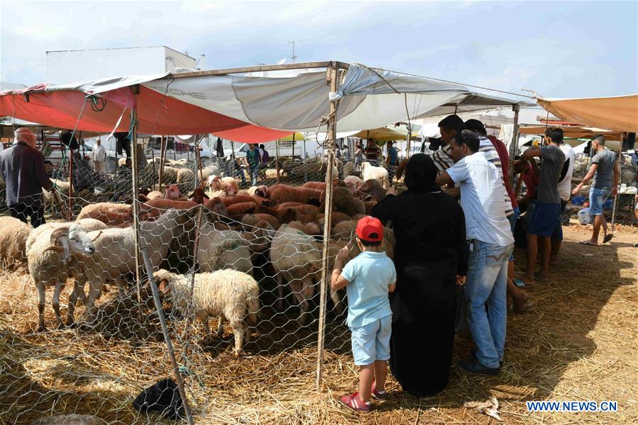 TUNISIA-TUNIS-EID AL-ADHA-LIVESTOCK MARKET 