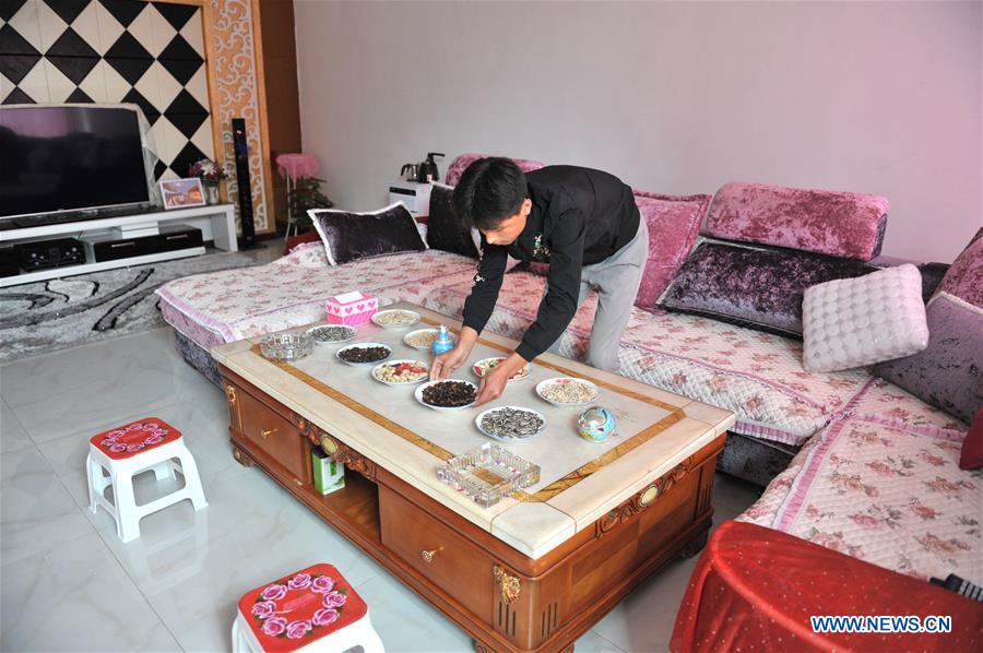 CHINA-NINGXIA-WUZHONG-FAMILY INN-DEVELOPMENT (CN)