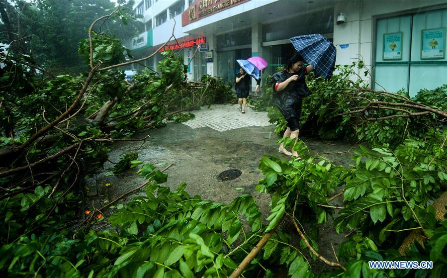 CHINA-GUANGDONG-TYPHOON MANGKHUT (CN)