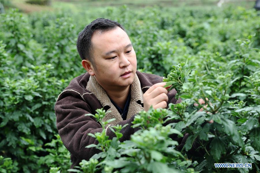 #CHINA-CHONGQING-ENTREPRENEURIAL STORY(CN)