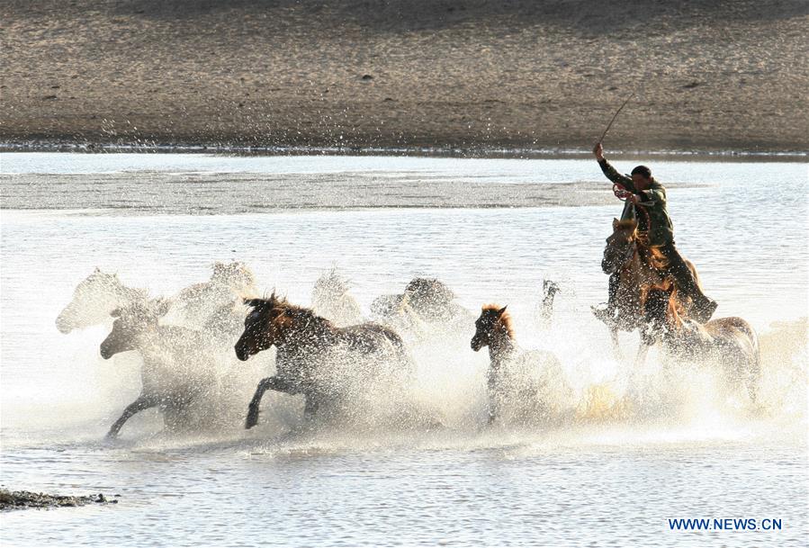 #CHINA-INNER MONGOLIA-GRASSLAND-HERDING (CN)