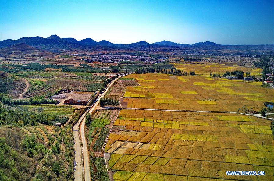 CHINA-HEBEI-LULONG-IRRIGATION SYSTEM (CN)