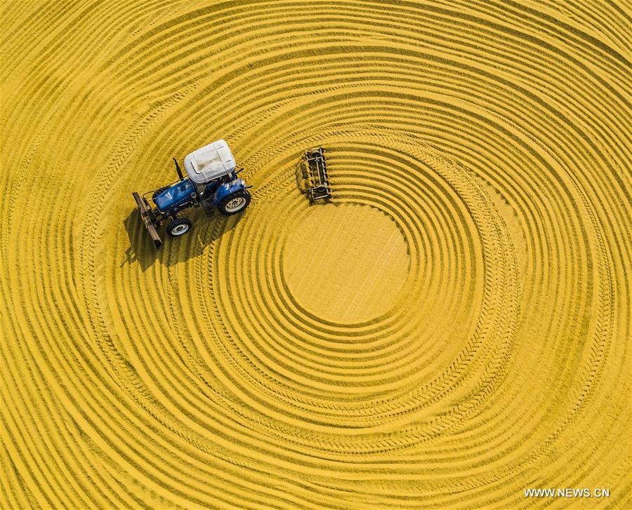 #CHINA-FARMING-SHUANGJIANG (CN) 