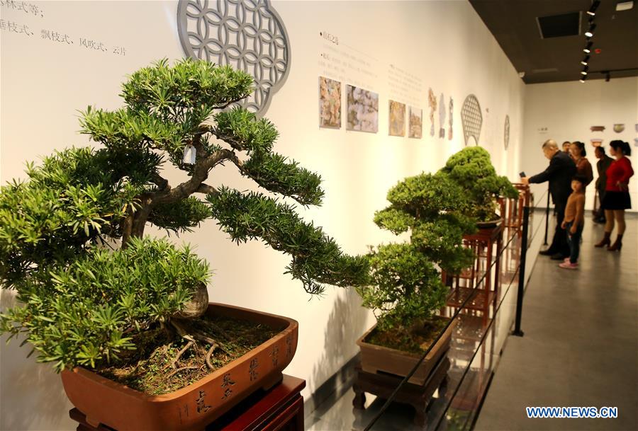 #CHINA-JIANGSU-RUGAO-BONSAI TREE MUSEUM (CN)