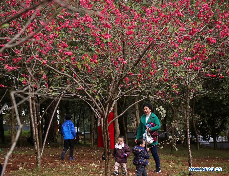 #CHINA-SPRING-FLOWERS (CN)