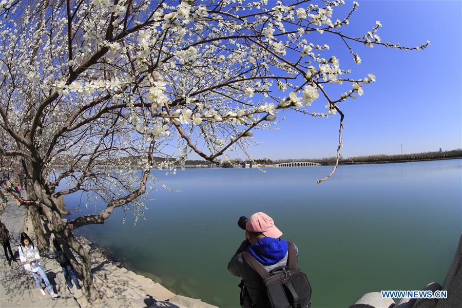 #CHINA-BEIJING-SUMMER PALACE-SCENERY (CN)