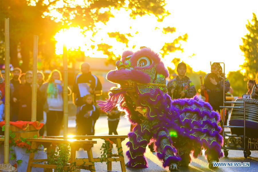 AUSTRALIA-YOUNG-LAMBING FLAT CHINESE FESTIVAL 