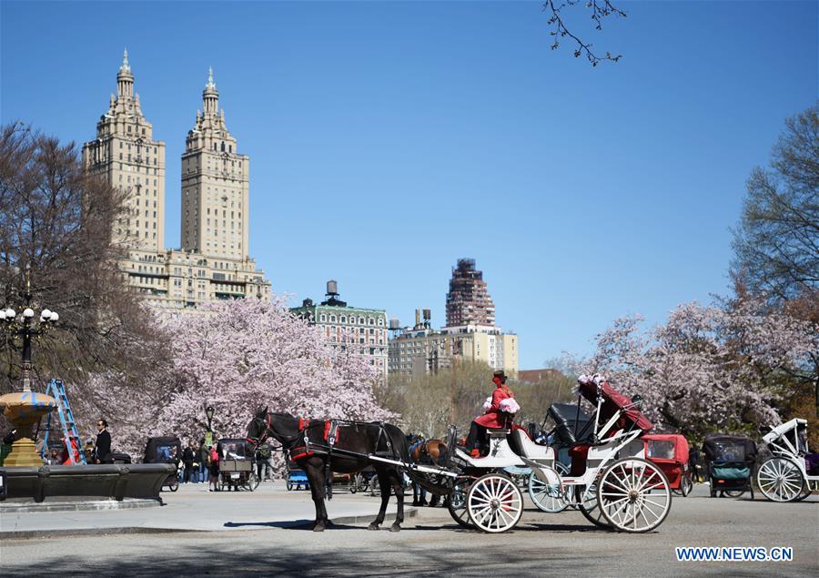  U.S.-NEW YORK-SPRING-SCENERY