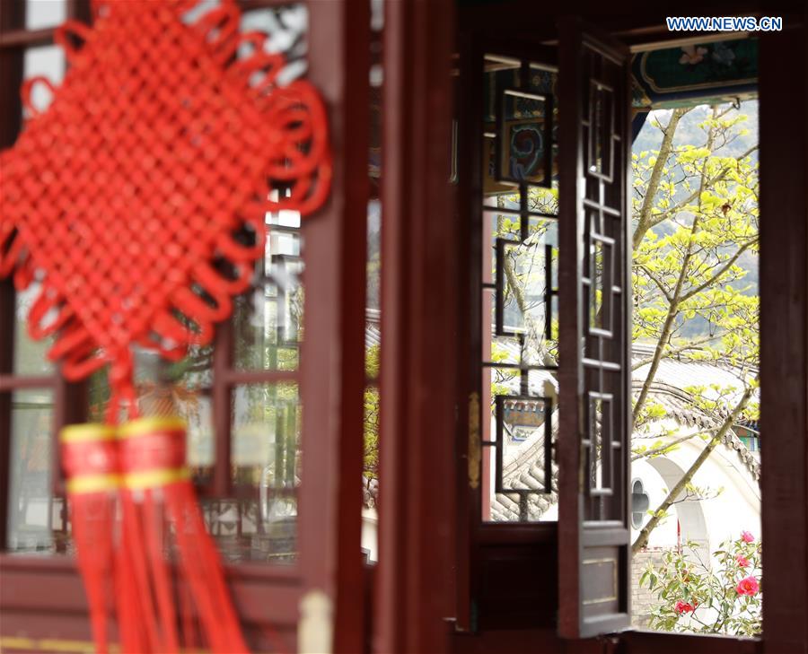 JAPAN-TOTTORI-GARDEN-ENCHO-EN