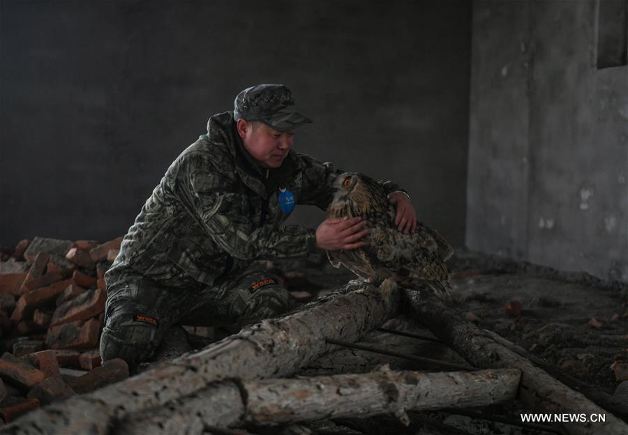 CHINA-INNER MONGOLIA-HULUN BUIR-WILDLIFE PROTECTOR (CN)