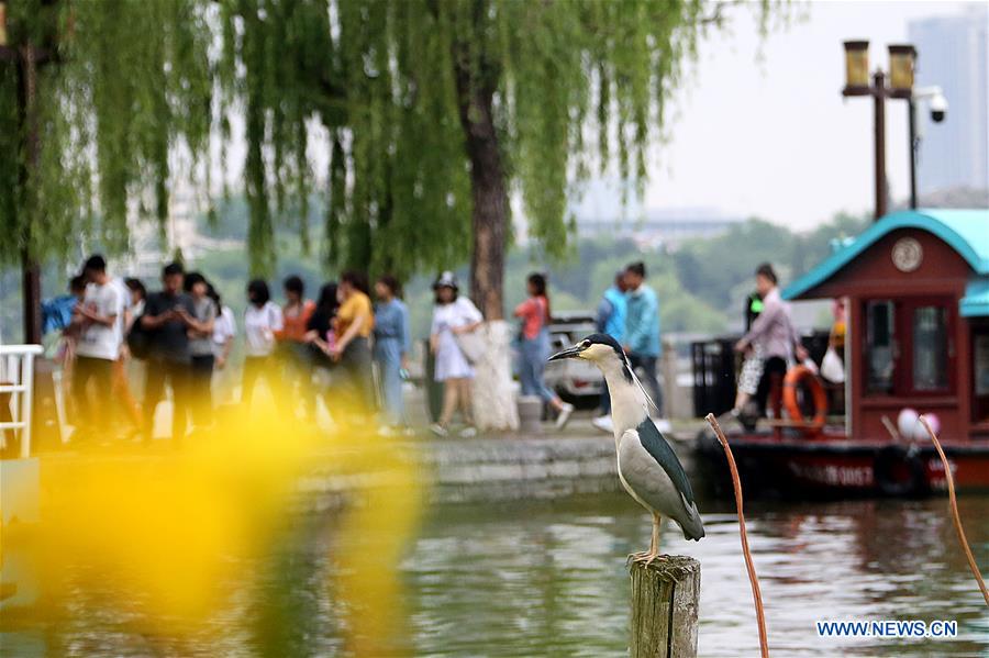 #CHINA-SHANDONG-JINAN-SCENERY (CN)