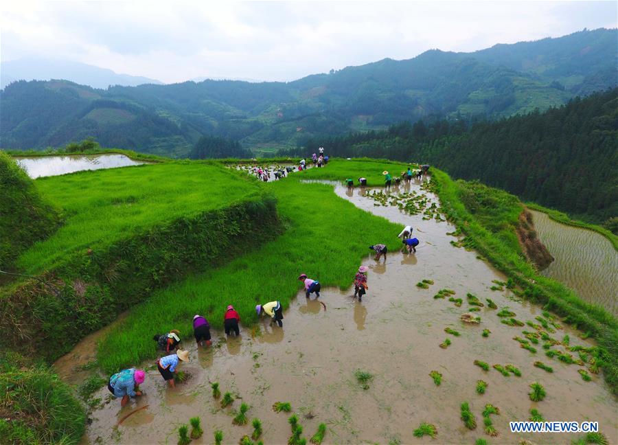 CHINA-GUANGXI-RONGSHUI-POVERTY ALLEVIATION (CN)