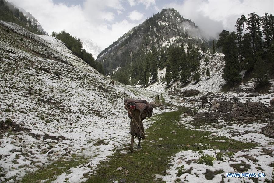 KASHMIR-SRINAGAR-SNOWFALL