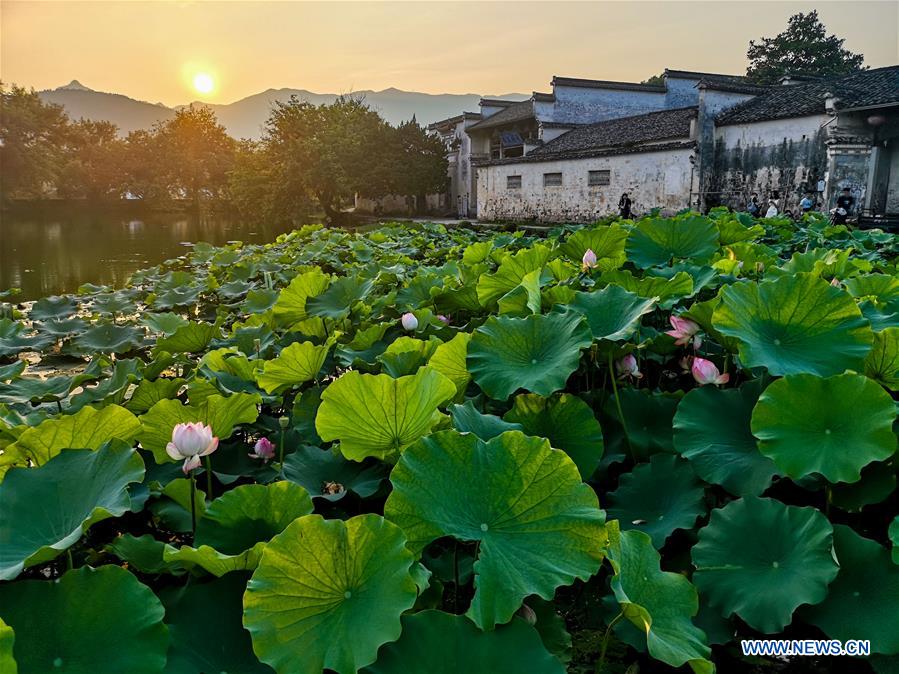 #CHINA-ANHUI-HUANGSHAN-COUNTRYSIDE SCENERY (CN)