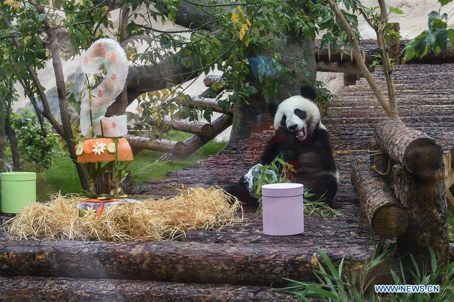 RUSSIA-MOSCOW-PANDAS-BIRTHDAY-CELEBRATIONS