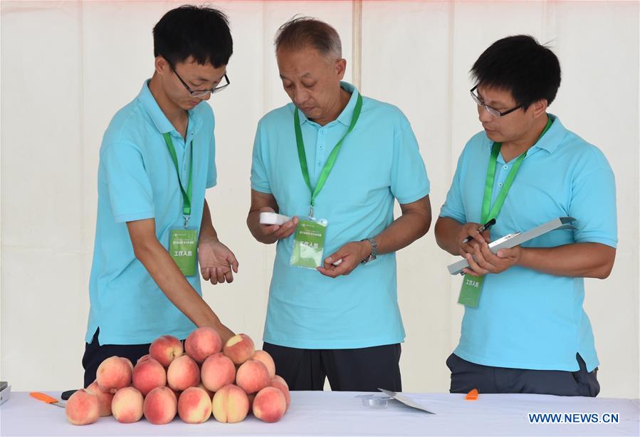 CHINA-BEIJING-PINGGU-PEACH FAIR(CN)