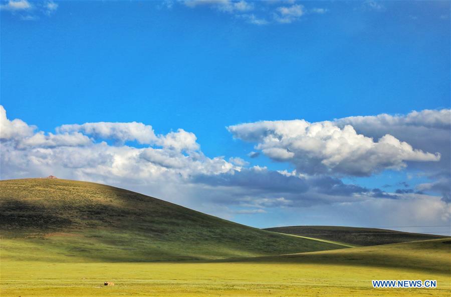 CHINA-QINGHAI-JIATANG GRASSLAND-NATURE-OBSERVING (CN)