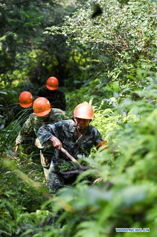 CHINA-JIANGXI-FOREST RANGER (CN)