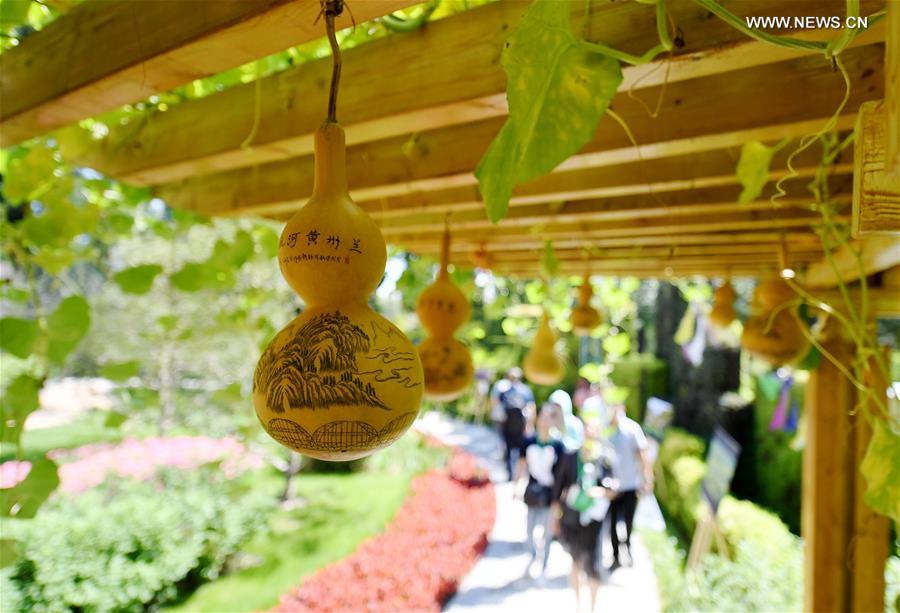 CHINA-BEIJING-HORTICULTURAL EXPO-GANSU DAY (CN)