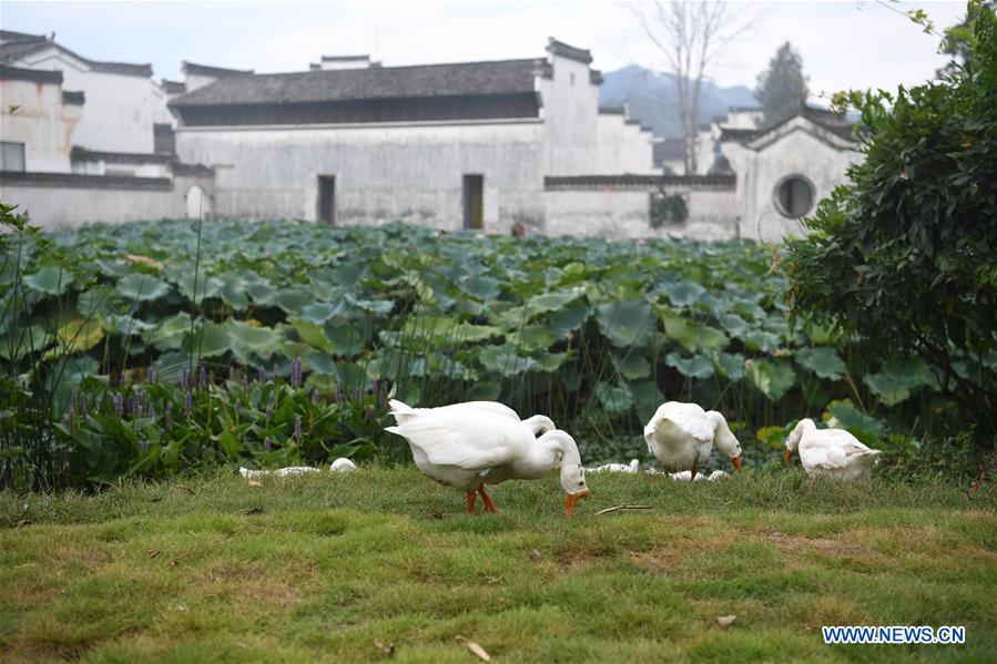 CHINA-ANHUI-HUANGSHAN-ANCIENT VILLAGE (CN)