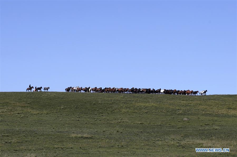 CHINA-GANSU-HORSE RANCH (CN)