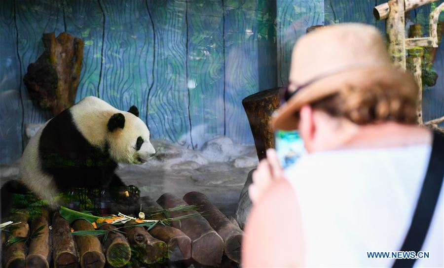 CHINA-HAIKOU-MID-AUTUMN FESTIVAL-PANDA (CN)