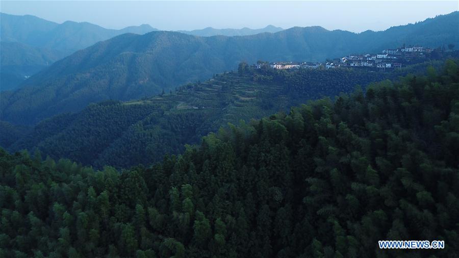 CHINA-ANHUI-MULIHONG VILLAGE-SCENERY (CN)