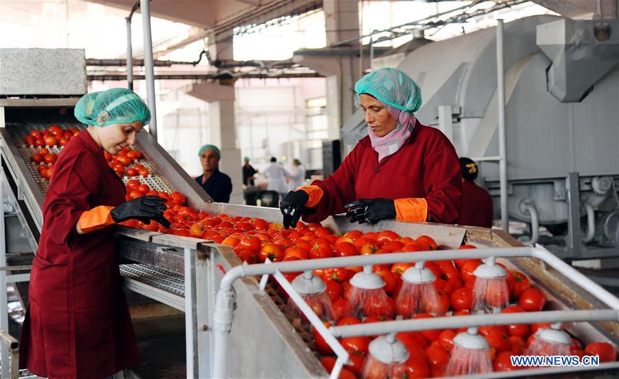 SYRIA-DAMASCUS-TOMATO-PASTE-MAKING