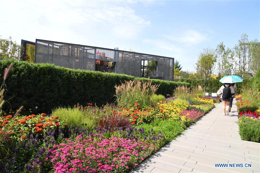 CHINA-BEIJING-HORTICULTURAL EXPO-HONG KONG DAY (CN)