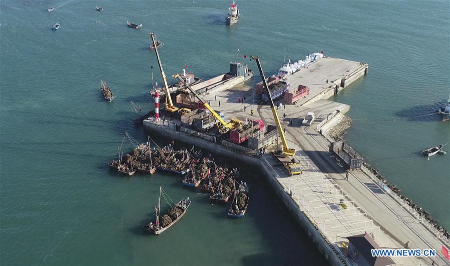 CHINA-LIAONING-DALIAN-OYSTER-HARVEST (CN)