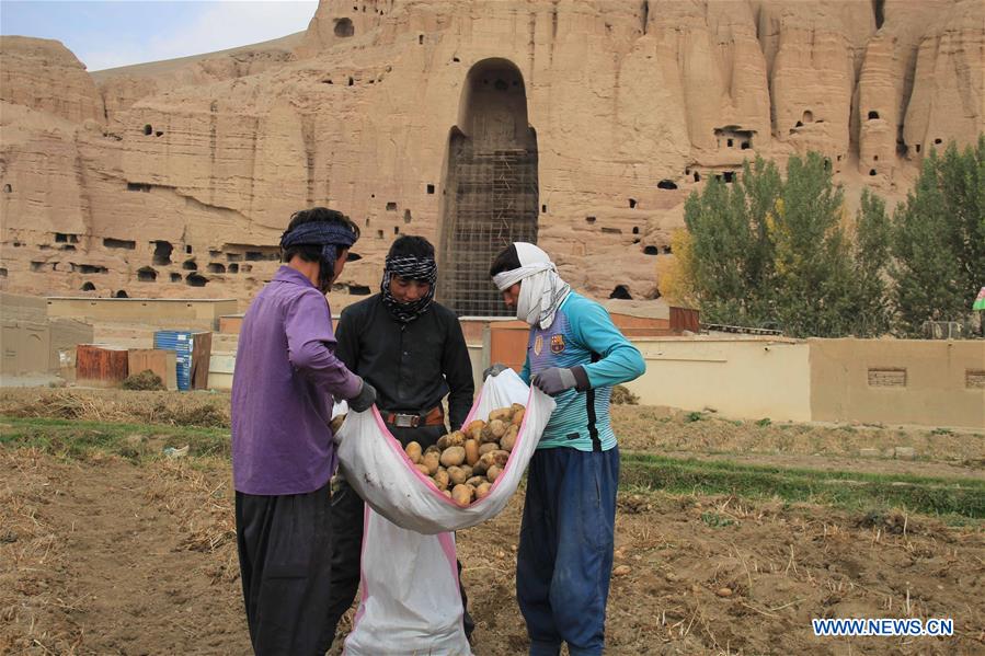 AFGHANISTAN-BAMYAN-AGRICULTURE-POTATO FARM