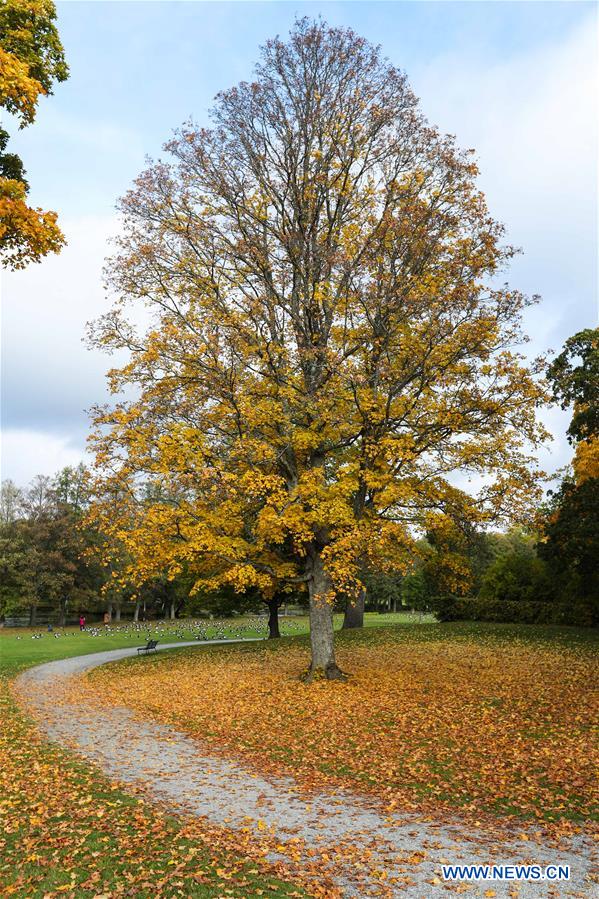 SWEDEN-STOCKHOLM-AUTUMN