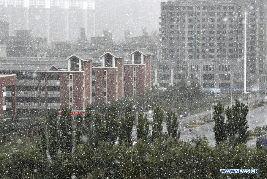 CHINA-NINGXIA-SNOWFALL (CN)