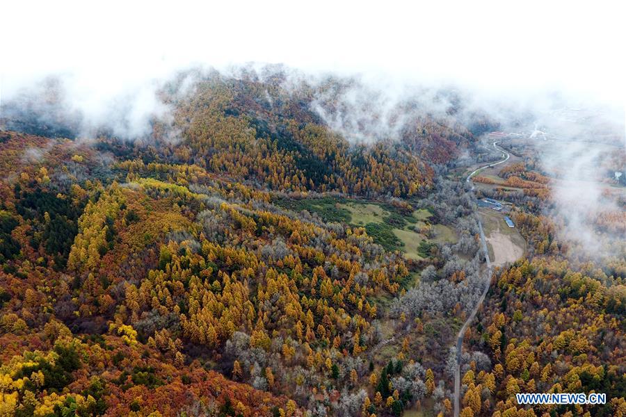 CHINA-SHANXI-PANGQUANGOU-NATURE RESERVE (CN)