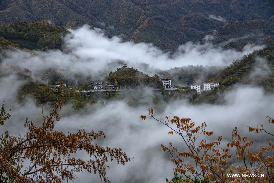 CHINA-HUBEI-SHENNONGJIA-AUTUMN SCENERY (CN)