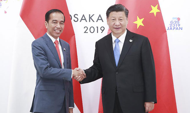 Xi meets Indonesian president on ties