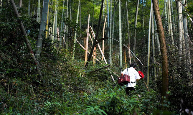 Pic story of 69-year-old village doctor in China's Jiangxi