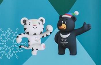 Meet mascots "Soohorang" and "Bandabi" for PyeongChang Games